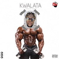 Kwalata - Single - Shathi