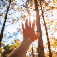 Tem Dias (feat. Jef & Dado Villa-Lobos) - Single - TH