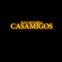 Casamigos - Single - Flea Mitchell