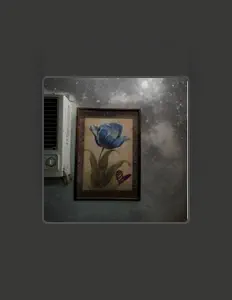 Escucha a Jester Owl, mira vídeos musicales, lee la biografía, consulta fechas de giras y mucho más.