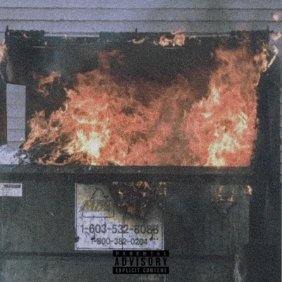 Dumpster Distortion - Single