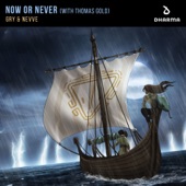 Now Or Never (with Thomas Gold) artwork