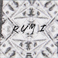 Rumi (feat. Barzz) - Single - Bynk Bravado