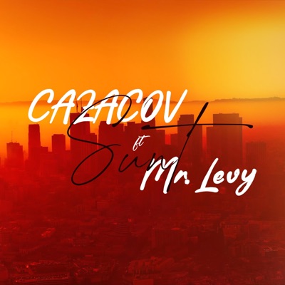 Sunt (feat. Mr. Levy) - Single