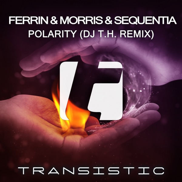 Polarity (DJ T.H. Remix) - Single