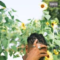 Fleur De Vie - Single - OG Spliff & Flower in Bloom