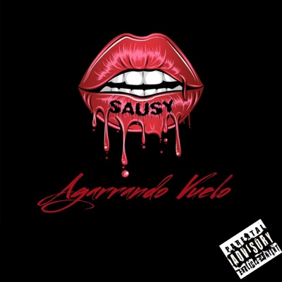 Agarrando Vuelo - Single