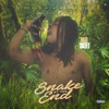 Snake at the End - Single