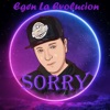 Sorry - Single