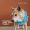 Teaching Your Dog Tricks - Clifford Feely lyrics