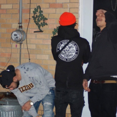 Stylefree pt3 (feat. ICYOU) - Single