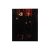Inside the Rose - These New Puritans
