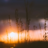 Your Life - Single - Meyo