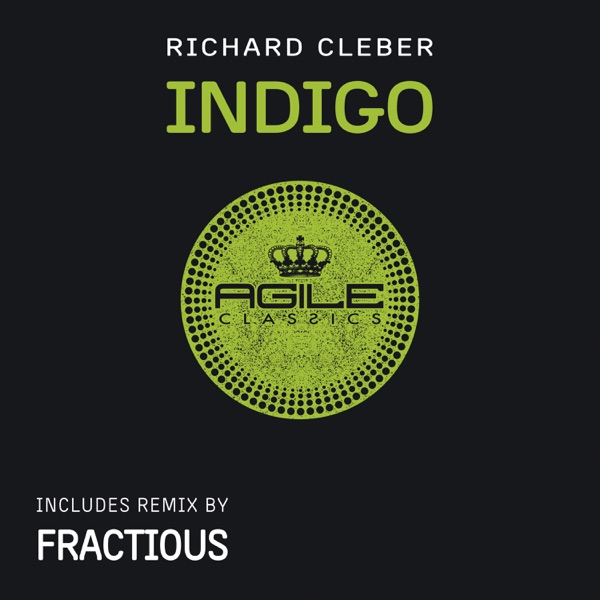 Indigo the Remix - Single