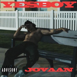Yes Boy Jovaan