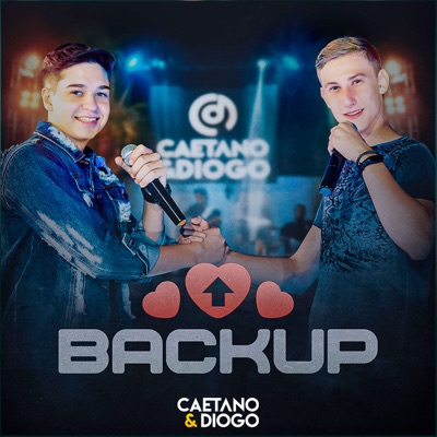 Backup - Single