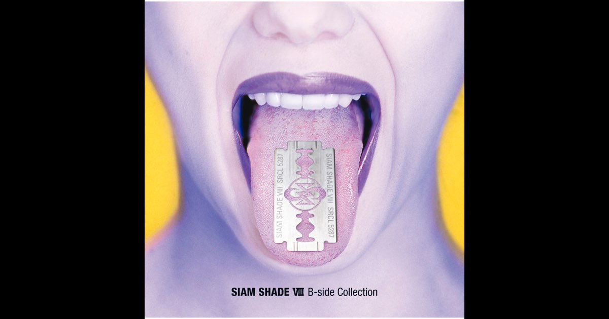 SIAM SHADE FILE 写真集 入荷しています。 | 音楽資料専門店