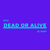 Dead or Alive artwork