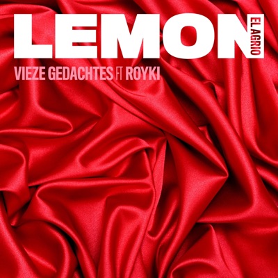 Vieze Gedachtes (feat. Royki) - Single