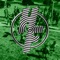 Happy Family (feat. Blythe Renay) - Dan Amrich lyrics
