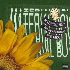 Material Boy (Ricky Desktop Remix) - Single