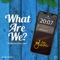 What Are We? - Dj Java & Bella Alubo lyrics
