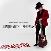 Aunque No Te Lo Merezcas artwork