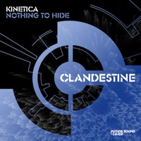 Nothing to Hide - Single - Kinetica