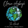 Olorun Agbaye - Single