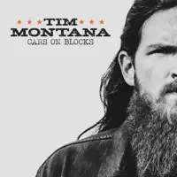 Do It Fast — Tim Montana