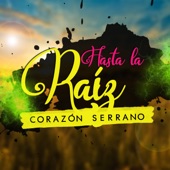 Hasta la Raíz artwork