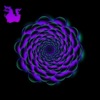 Whhiskers - Flyls
