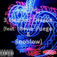 3 Headed Dragon (feat. Stevie Fuego & Snoblow) - Single - JRM