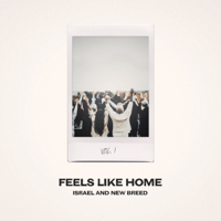 Israel & New Breed - Feels Like Home, Vol. 1 artwork