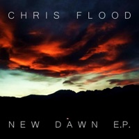 Album cover for Dead Skin by Chris Flood