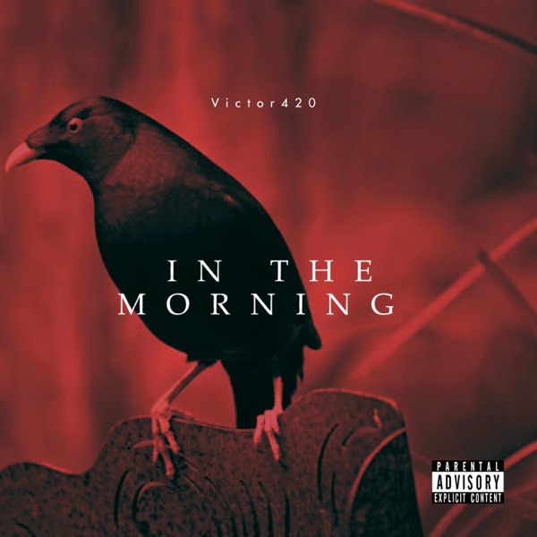 In the Morning