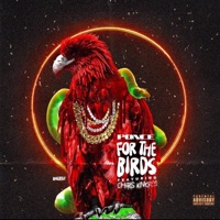 For The Birds (feat. Chris King) - Single - Ponce De'leioun
