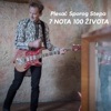 7 Nota 100 Zivota