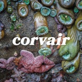 Corvair - Sailor Down
