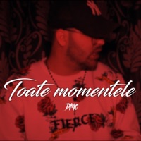 Toate Momentele - Single - DMC
