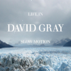 Life in Slow Motion - David Gray