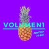 Volumen 1