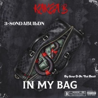 In My Bag (feat. 3-80NDABUILDN & SOUR D ON the BEAT) - Single - Tribe & Kakea B