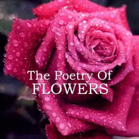 The Poetry of Flowers
