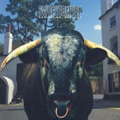 Swervedriver - You Find It Everywhere