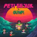 Peti Sejuk