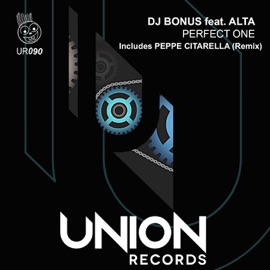 Perfect One (feat. Alta) [Peppe Citarella Afro/Tech Mix] DJ Bonus