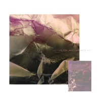 The Muffled Walk - Single - Salah.