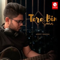 Tere Bin Soona - Single - Adriz Ghosh