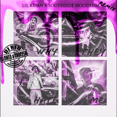 WHY THEY HATE ME (feat. SOUTHSIDE HOODLUM) [SLOWED an CHOPPED] [Chopped] - Single